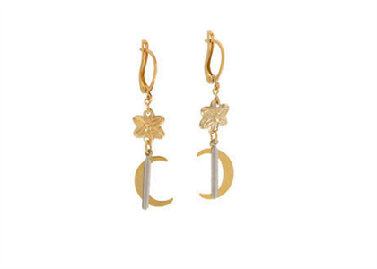 Moon and Star Lever Back Fashion Earrings